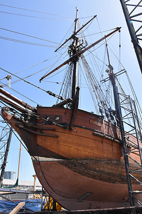 Preparing for a return to Docklands waters
