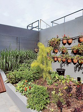 Urban forests bringing pleasure to residents