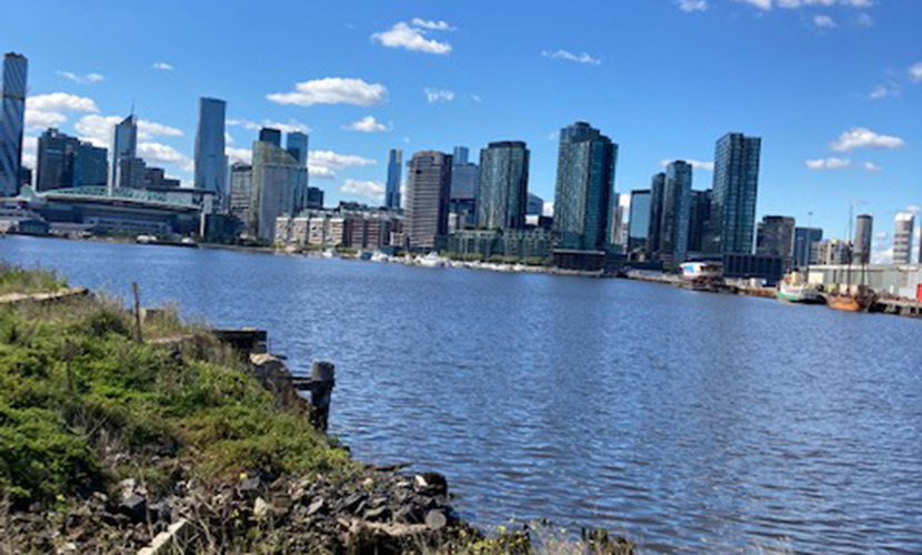 Docklanders … we need your help!