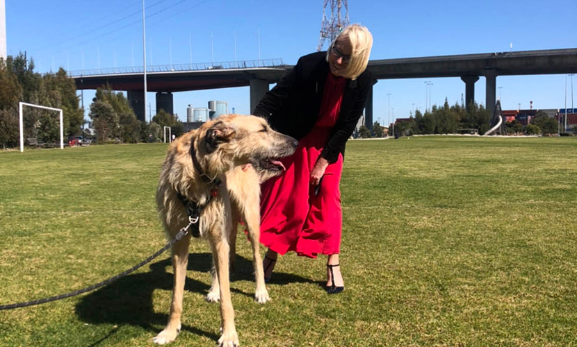 New doggy bag dispenser at Ron Barassi Oval