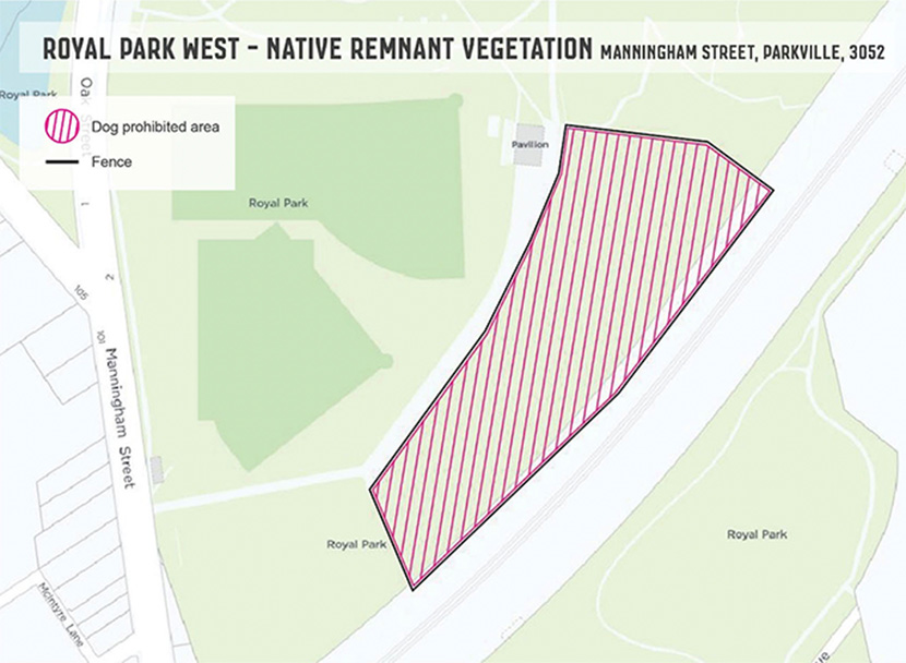 Dog ban to protect sensitive vegetation at Royal Park