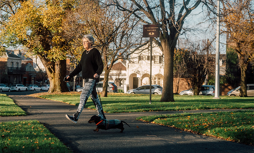 Barking up the wrong tree: opposition mounts to turn Murchison Park into off-leash dog area under council plan