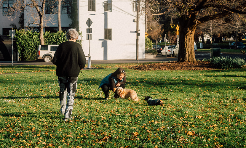 Barking up the wrong tree: opposition mounts to turn Murchison Park into off-leash dog area under council plan