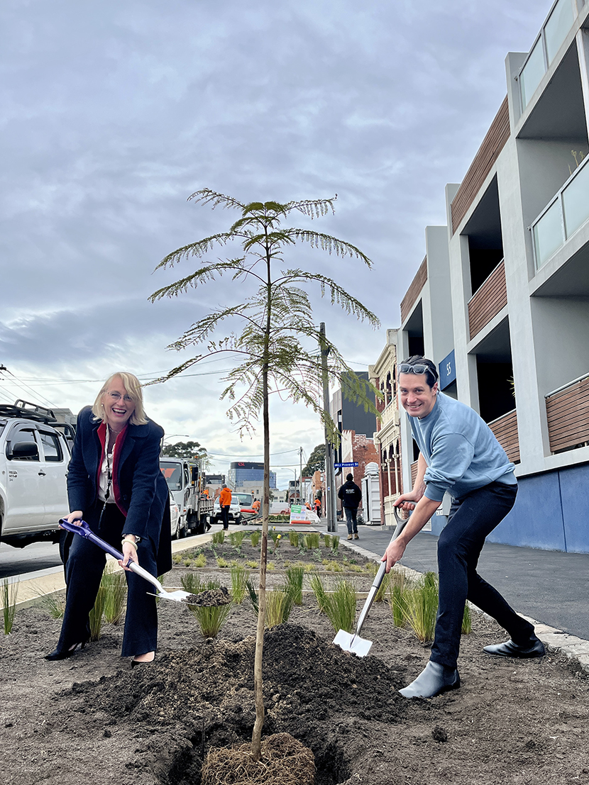 Provost St planting program underway