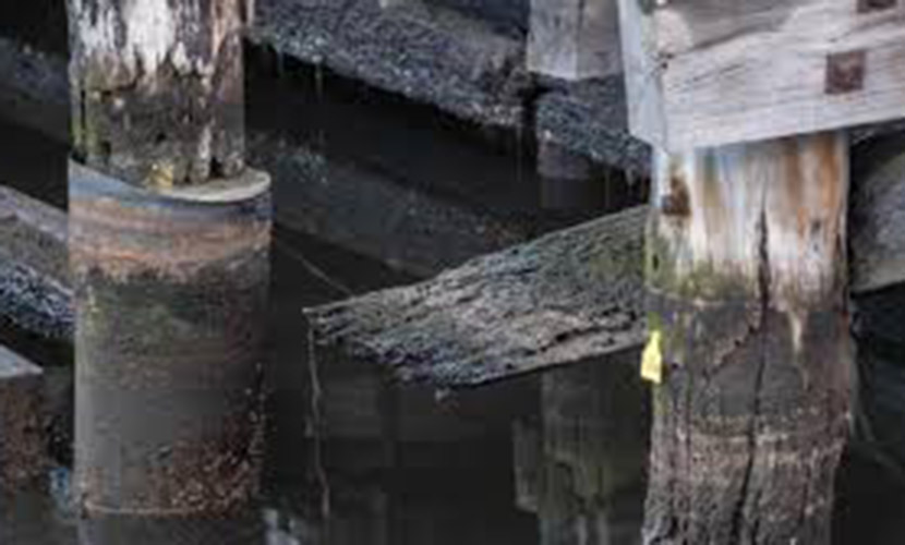 “Active” on two Docklands “fronts” this past month