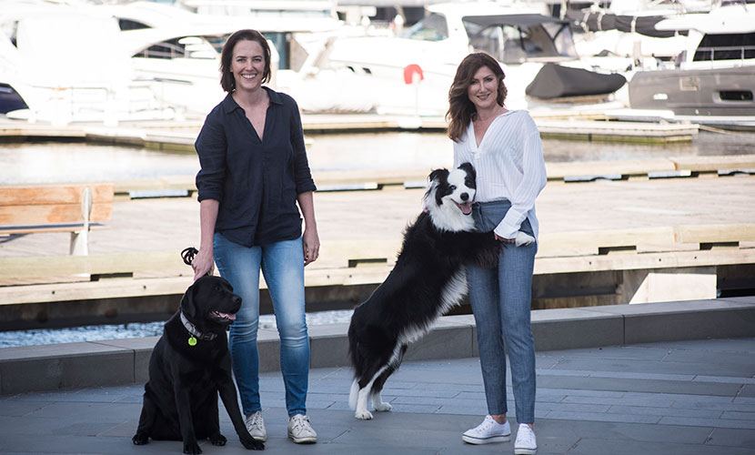 Charity dog walk bound to get tails wagging