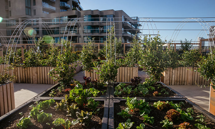 Docklands Skyfarm revealed