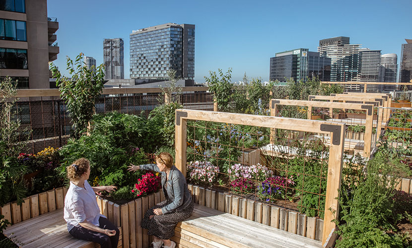 Docklands Skyfarm revealed