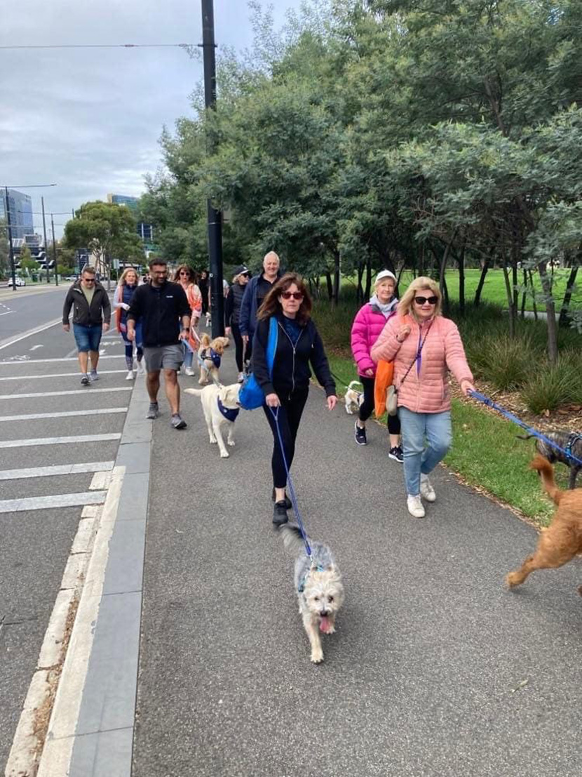 Pooch lovers hit the pavement to raise money for pet charity