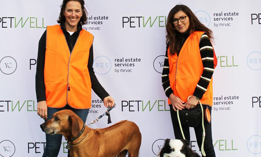 Pooch lovers hit the pavement to raise money for pet charity