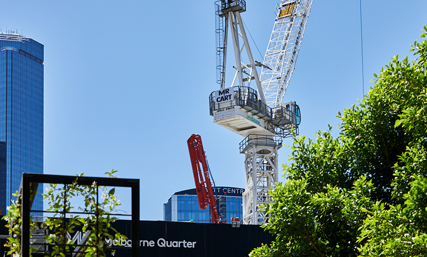 Cranes named by local grade ones