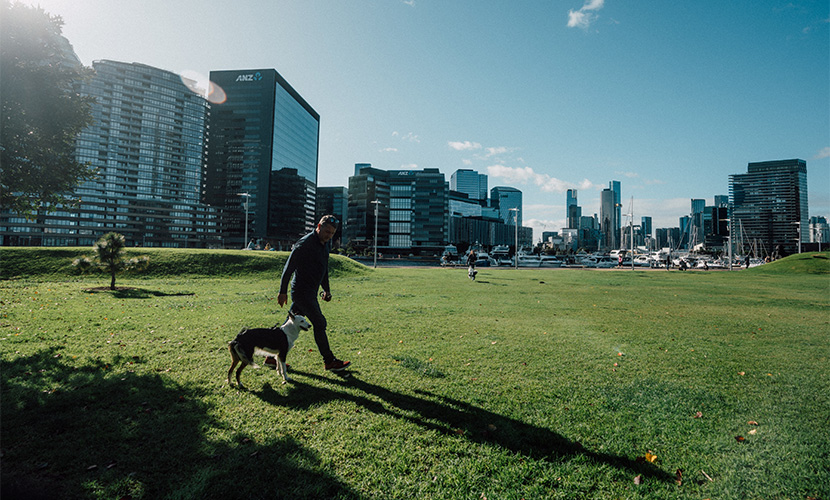 Dogs set to have a ball as council considers new off-leash areas