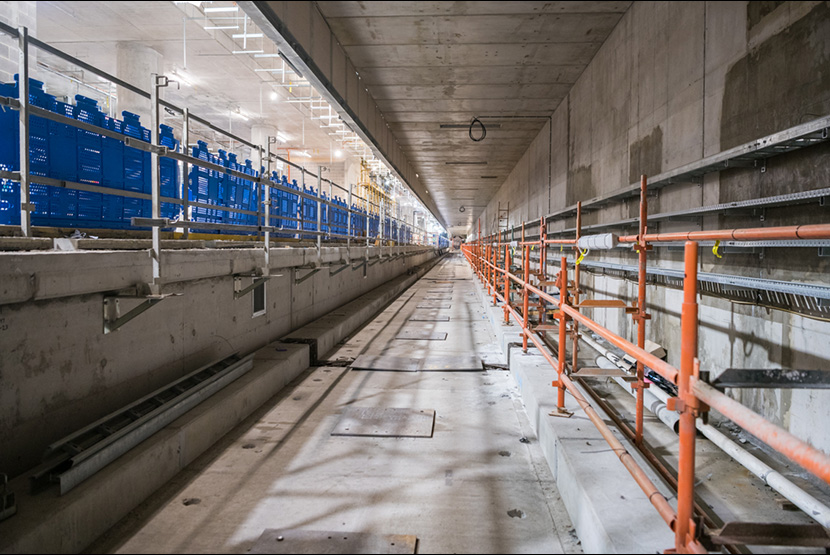 Renowned artist to transform Parkville Station