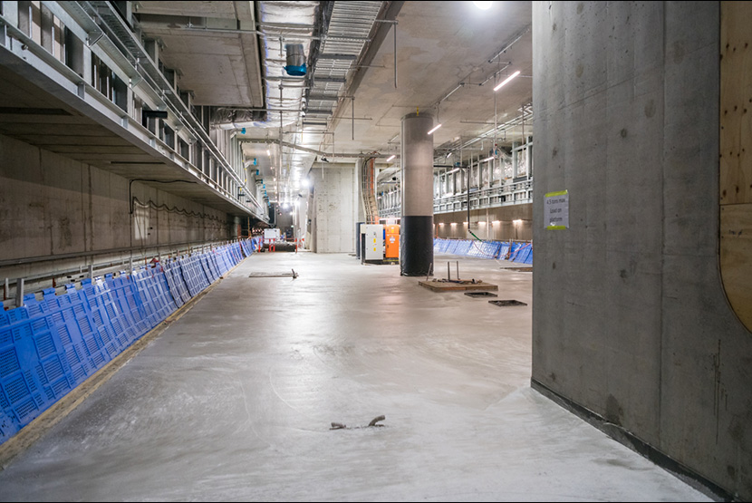 Renowned artist to transform Parkville Station