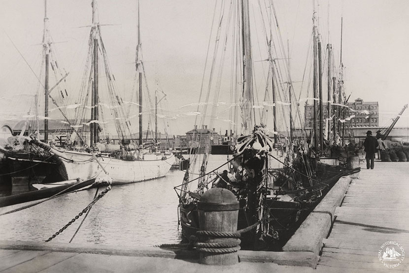 Berthing at Little Dock … maybe for a cuppa?