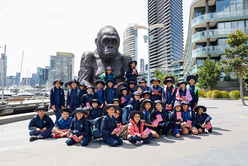 Docklands’ baby zebra nameless no more