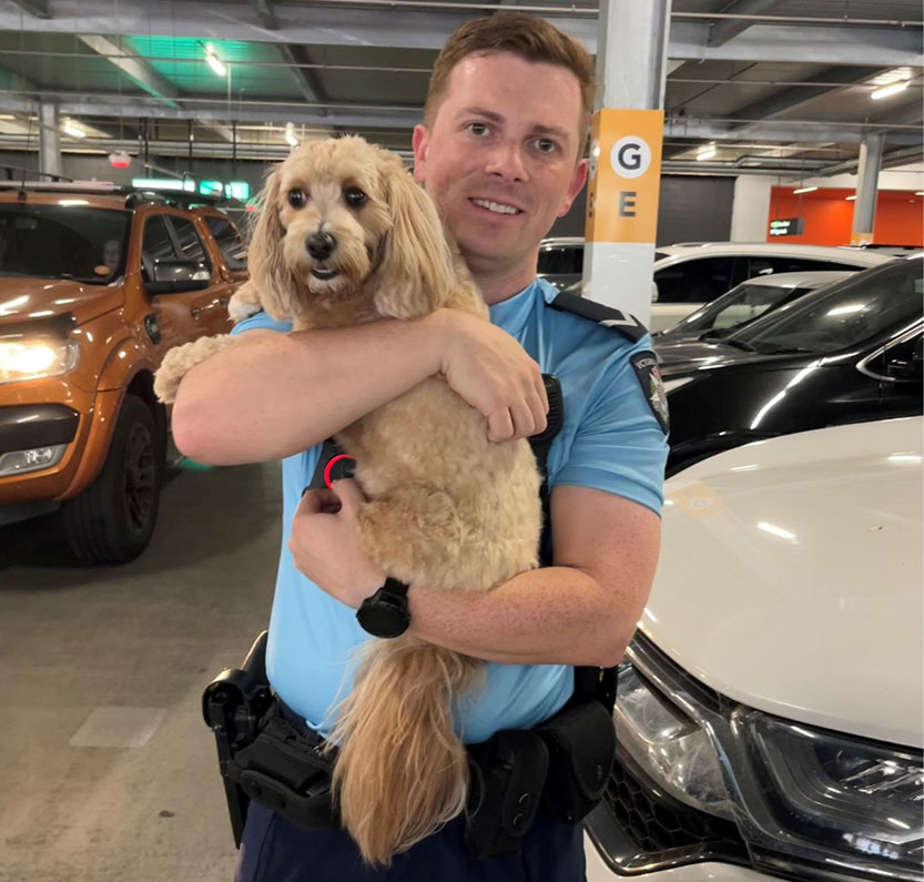 Police share frustration as pet left in car in Docklands