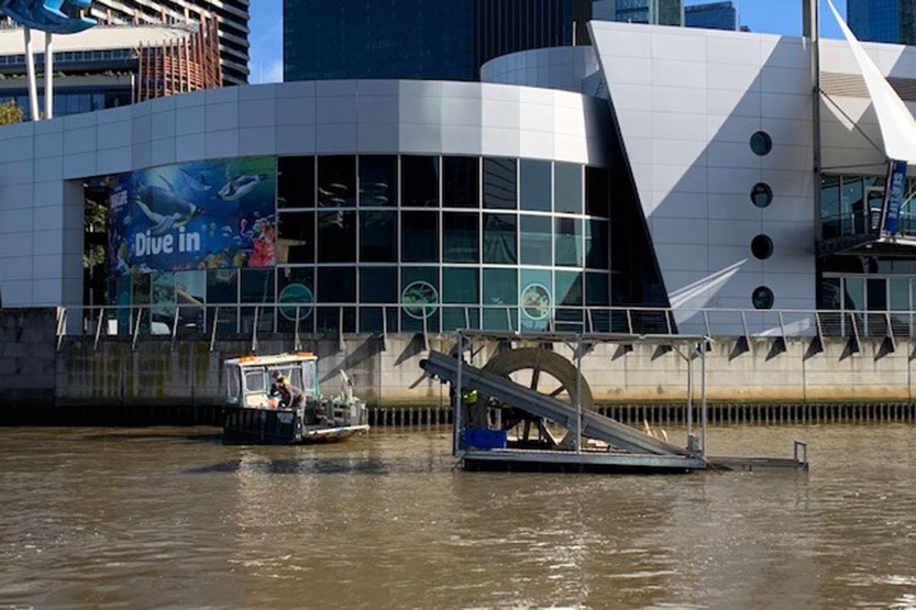 Two opportunities for Docklanders …