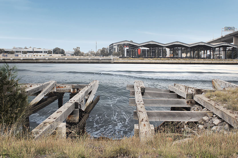 The surf’s up in Victoria Harbour