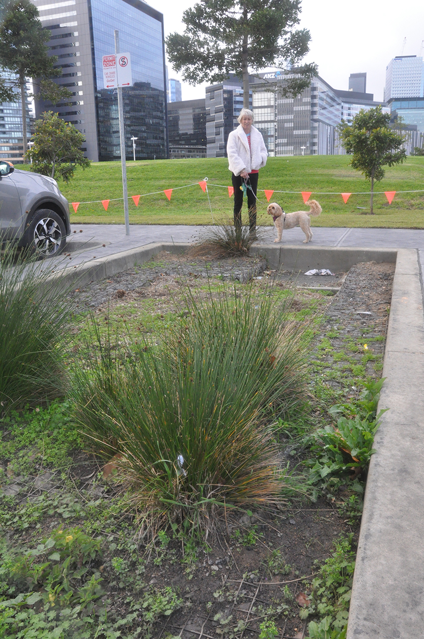 A big tick for water gardens