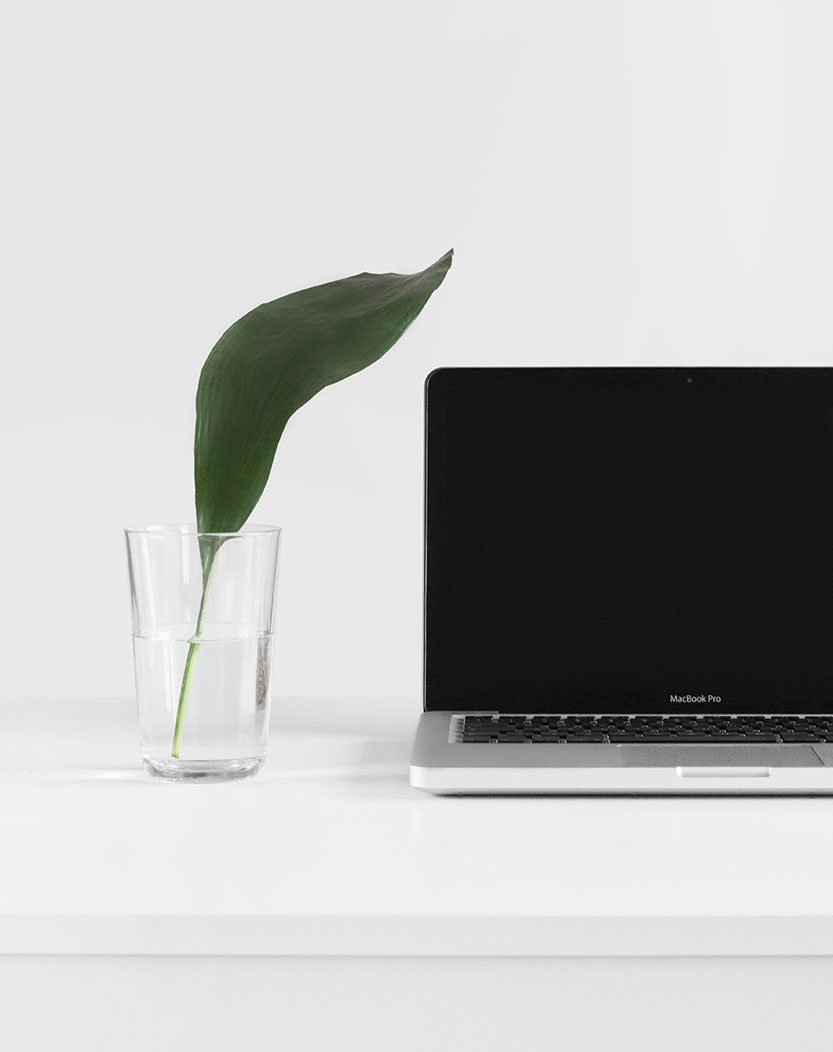 Boosting business profits through sustainability