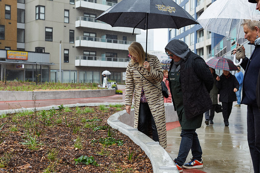 Turning grey into green: new Victoria Point garden uncloaked