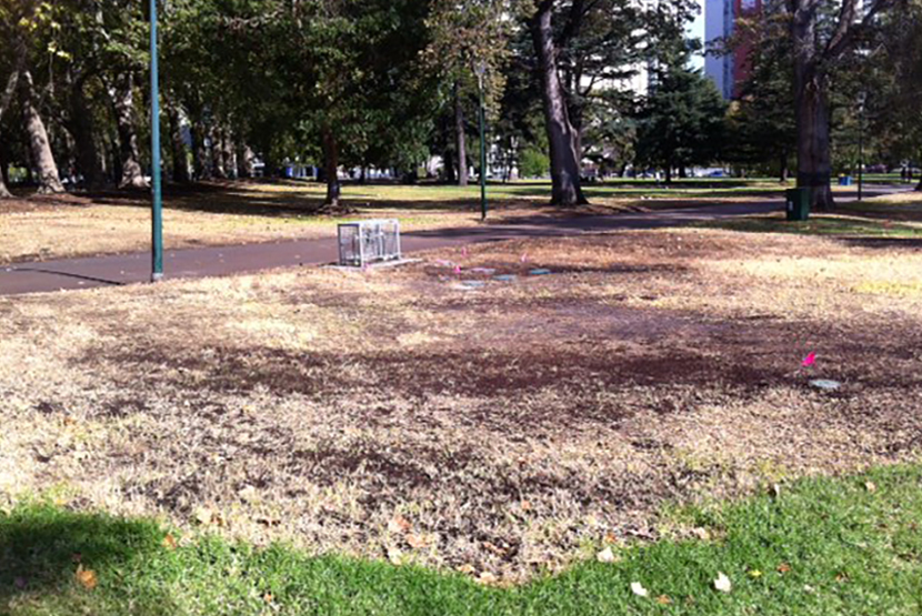 Flower and Garden Show issued new licence for  Carlton Gardens, but heritage concerns remain