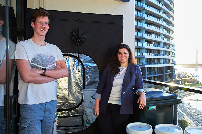Urban mushroom farming from a Yarra’s Edge apartment