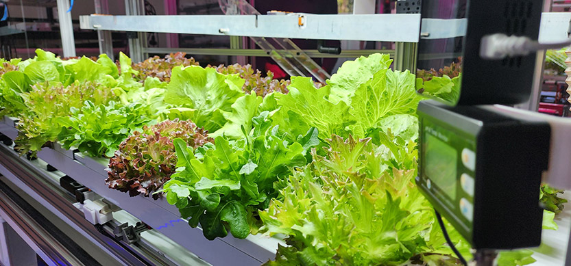 Revolutionary AI-powered farming technology in the heart of Docklands