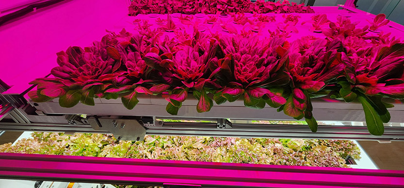 Revolutionary AI-powered farming technology in the heart of Docklands