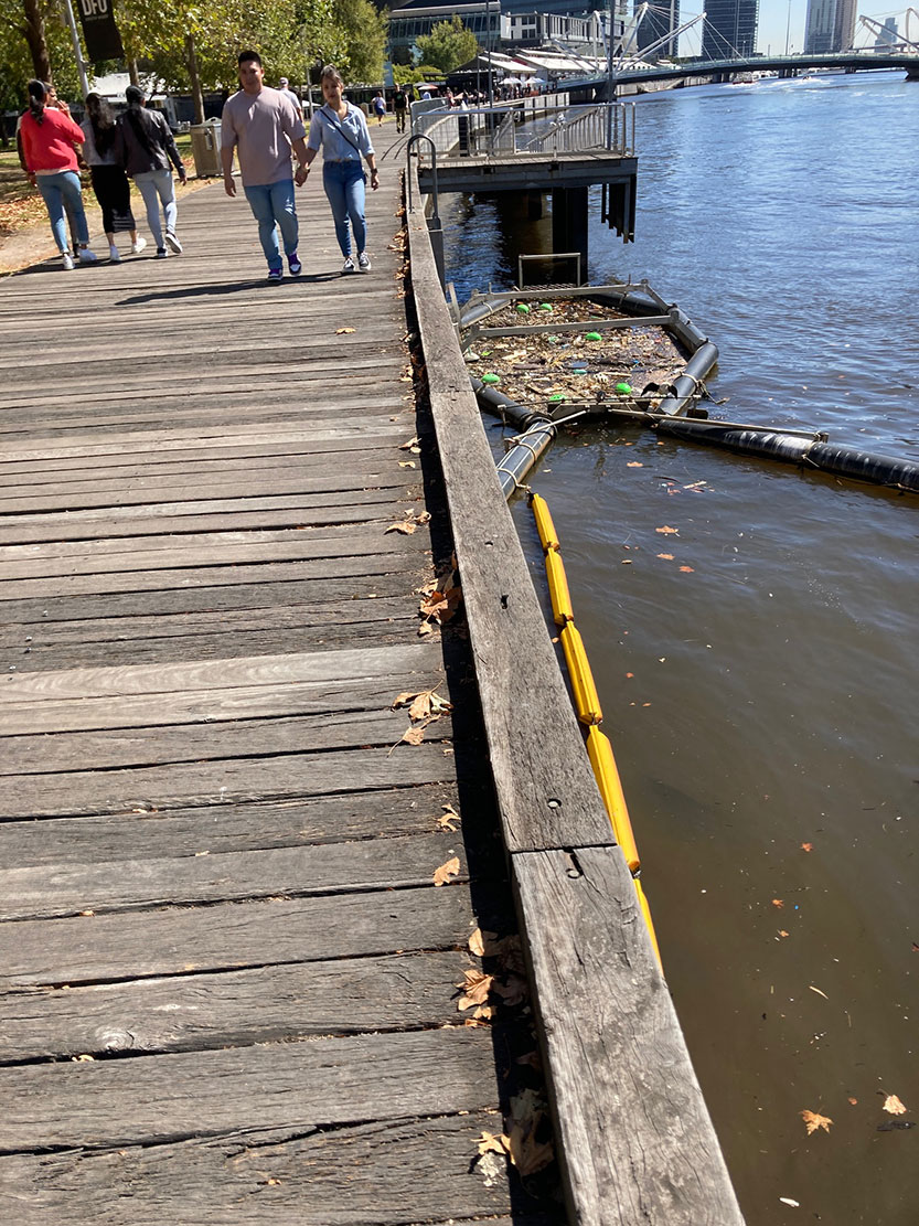 Parks Victoria’s litter management under the microsope