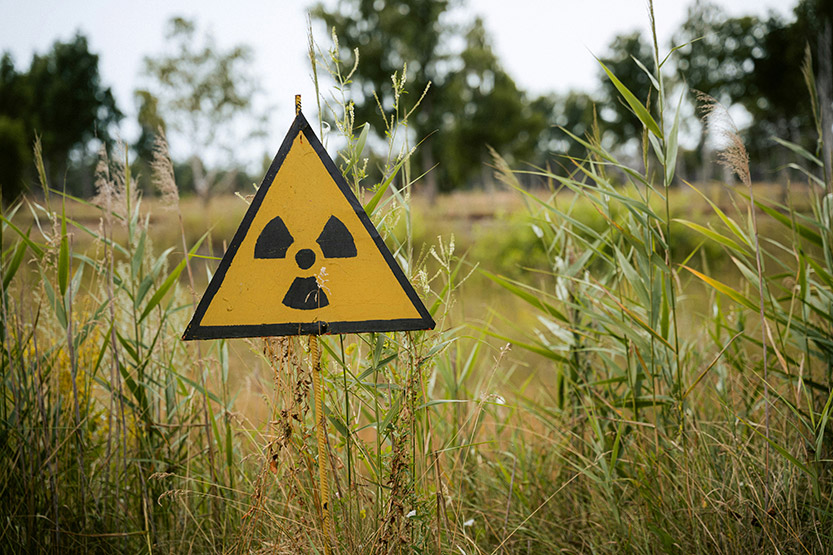 Dutton’s nuclear dead cat