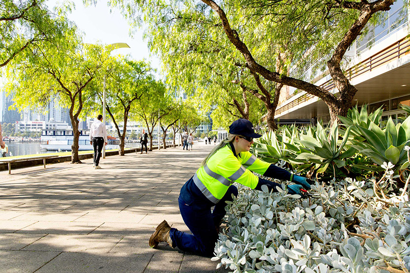 Serco continues open space management in Melbourne