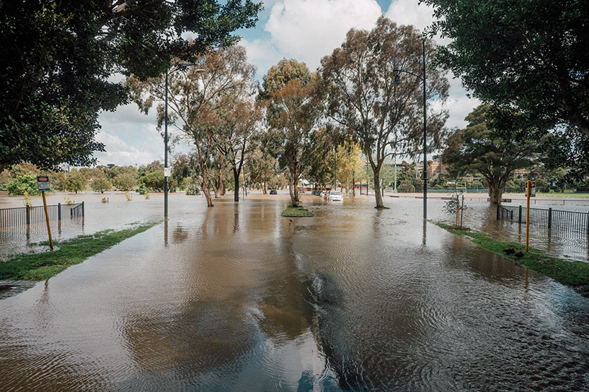 Melbourne Water to investigate Flemington racecourse flood wall as community frustration builds 