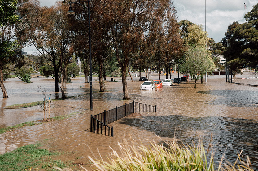 Melbourne Water to investigate Flemington racecourse flood wall as community frustration builds 