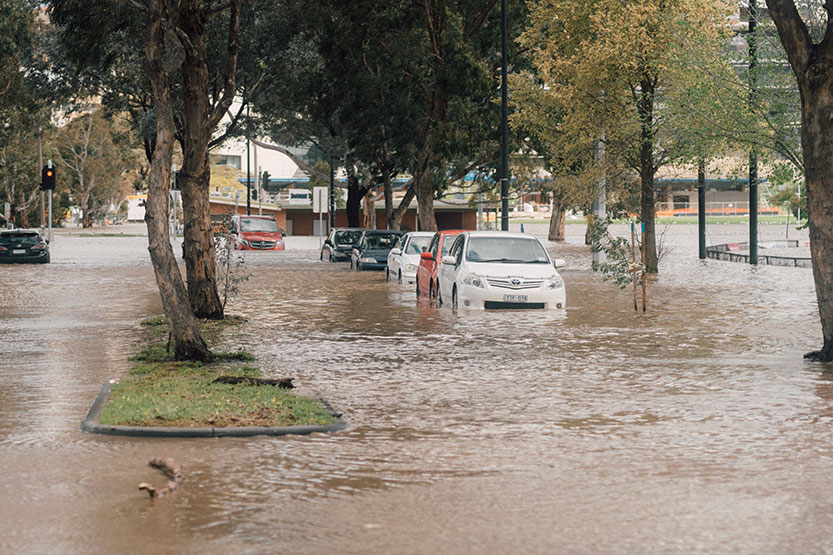 Melbourne Water to investigate Flemington racecourse flood wall as community frustration builds 