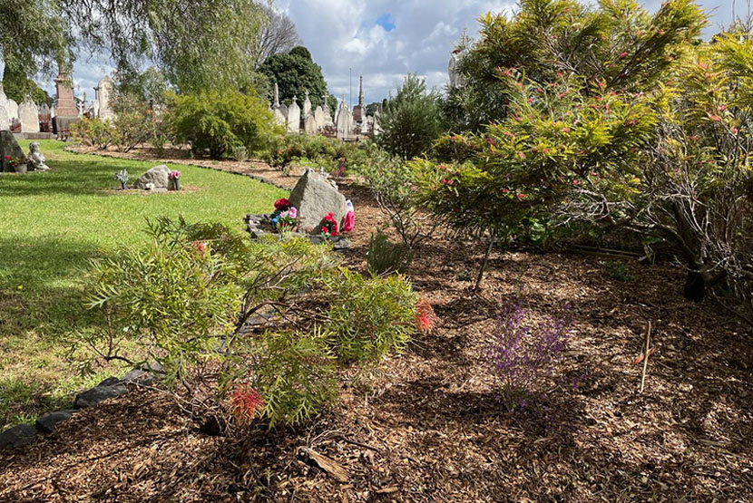 Melbourne Cemetery volunteer gardening group makes ground with help from SMCT