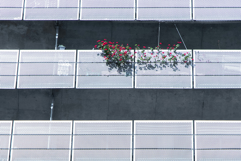 Advocating for residential strata: an overdue focus on energy efficiency