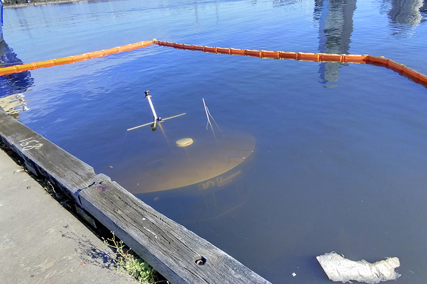 Salvage operation under way for sunken Louisianna heritage boat in Docklands