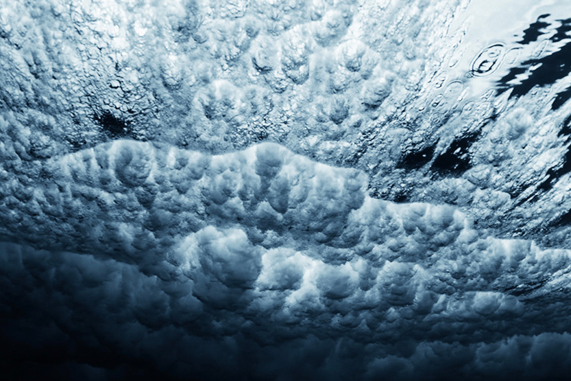 Art meets climate science at Library at the Dock Gallery