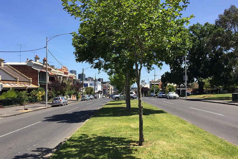 Parking restrictions to change along Hawke St 