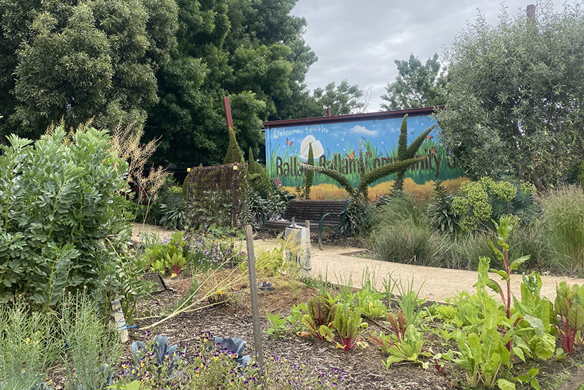 Native Bushfoods Garden opens in Carlton North