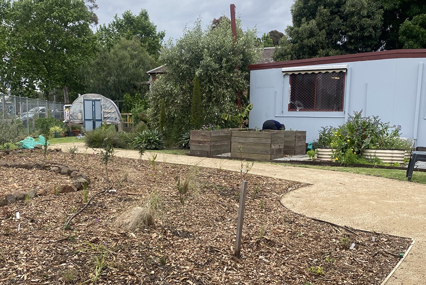 Native Bushfoods Garden opens in Carlton North