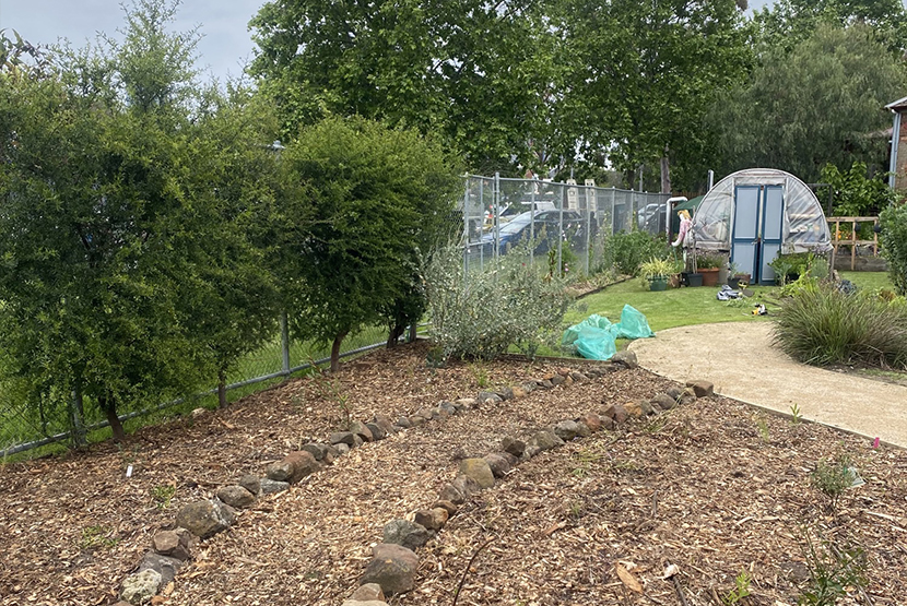 Native Bushfoods Garden opens in Carlton North