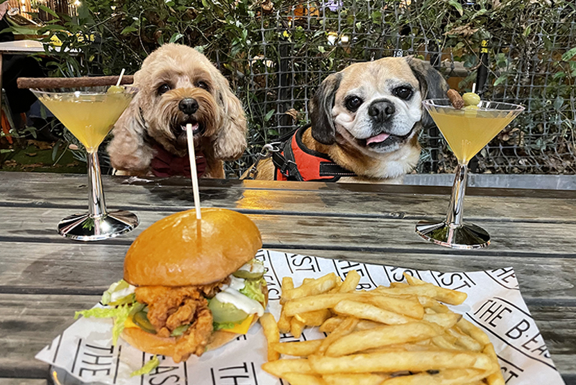 The paw-fect excuse to party 