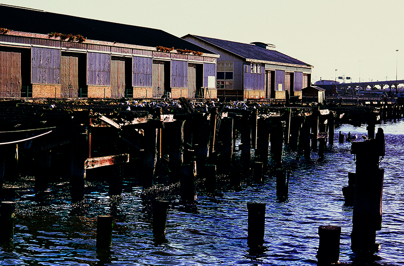 Docklands frozen in time: photo exhibition captures final days of Victoria Dock