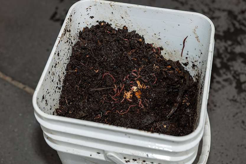 Worms at Work: Yarra’s Edge embraces worm bench innovation