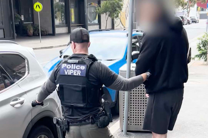 Drugs, weapons seized in organised crime bust