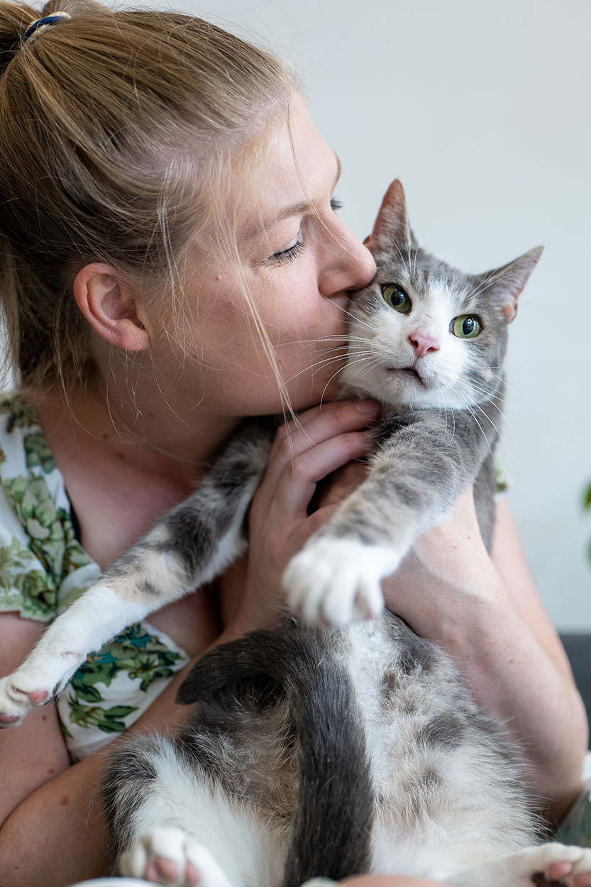 Missing cat returns home after two years of adventuring