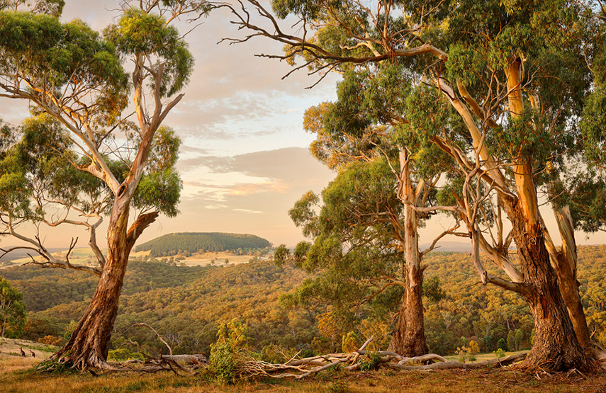 XYZ turns lens on Victorian landscape in new exhibition